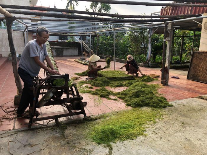 Từ ngày có máy thái thuốc, chỉ cần cắm điện và có người giữ cuộn thuốc, máy sẽ thái tự động thái, người dân không còn phải thái thủ công như những năm trước đây nữa.