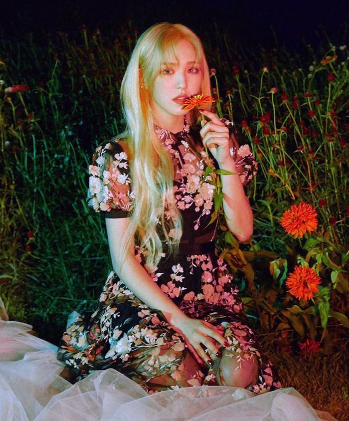 Trong khi đó, Wendy (Red Velvet) lại đầy bí ẩn khi diện item này. Cô nàng gây ấn tượng với mái tóc vàng cổ tích.