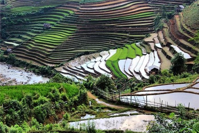 Những ngày này du khách có thể đến những địa điểm như Mù Cang Chải, Bát Xát, Hoàng Su Phì, Sapa, Tú Lệ, Hà Giang,... để có thể ngắm những thửa ruộng bậc thang mùa nước đổ ải đẹp nhất của vùng Tây Bắc. Ảnh: Vyankh.
