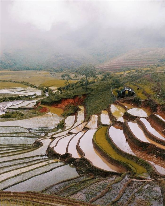 Tháng 5, tháng 6 hàng năm, mùa nước đổ về, các thửa ruộng Tây Bắc trở nên lấp lánh. Ảnh: Tusa1705.