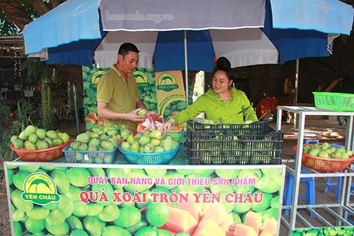 Các điểm bán xoài tròn chính hiệu Yên Châu được mở để phục vụ nhu cầu khách hàng.