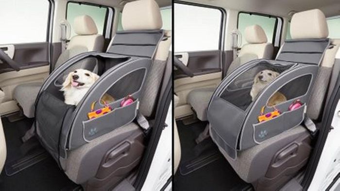 Tài xế nên sử dụng các phụ kiện để giúp giữ an toàn cho các chú chó ở trong xe. Nguồn: Motor1.
