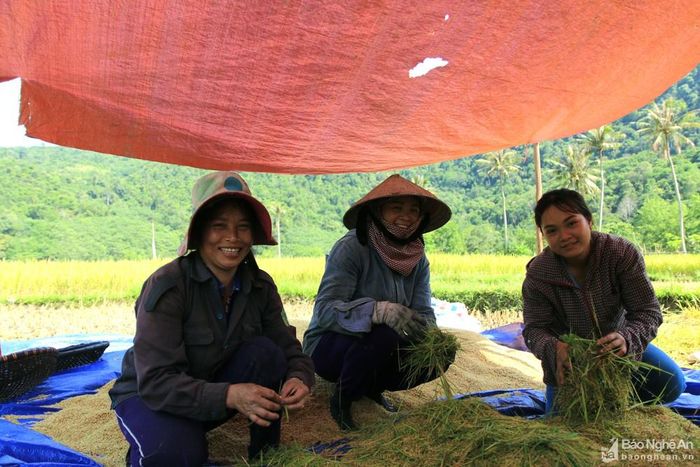 Niềm vui được mùa hiện rõ lên từng nét mặt của người nông dân nơi đây. Ảnh: Đình Tuân