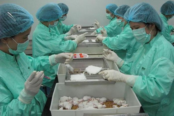 Nhóm nghiên cứu tại VABIOTECH tiêm thử nghiệm vắc xin trên chuột. Ảnh: BSCC