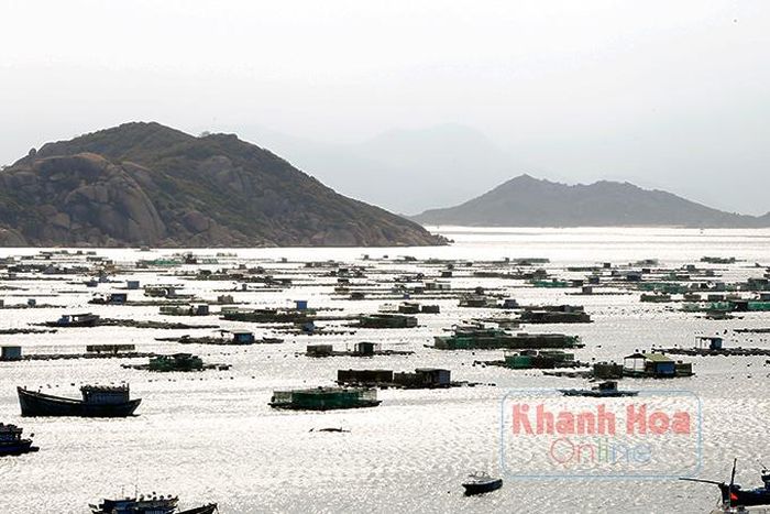  Vùng nuôi tôm hùm ở đảo Bình Ba vướng quy hoạch huấn luyện quân sự của Vùng 4 Hải quân. 