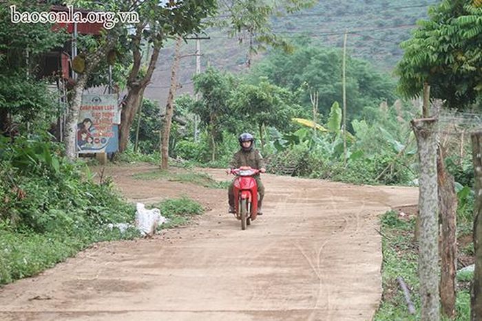 Đường vào bản Tầm Phế, xã Tân Hợp (Mộc Châu) được đổ bê tông.