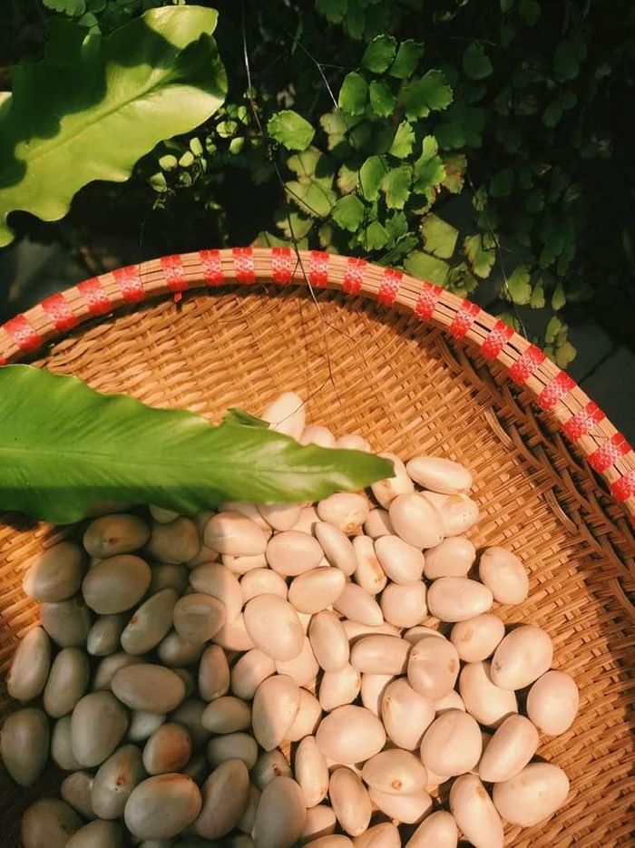 Như viên cuội nằm phơi mình bên hiên