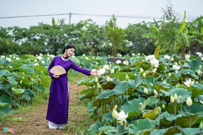  Những bông hoa trắng muốt mang đến một vẻ đẹp thuần khiết, tinh tế là một lựa chọn hấp dẫn cho bạn vào mùa hè này. 