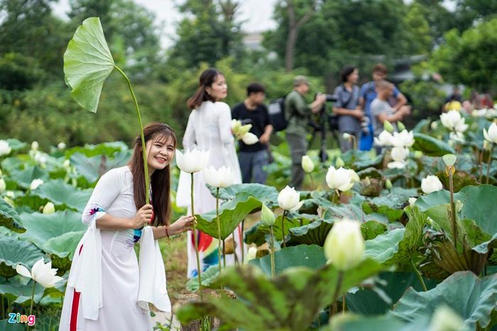  Nhiều người không ngại đường xa lẫn thời tiết nắng mưa bất thường những ngày gần đây để có cho mình những tấm ảnh đẹp cùng sen. 