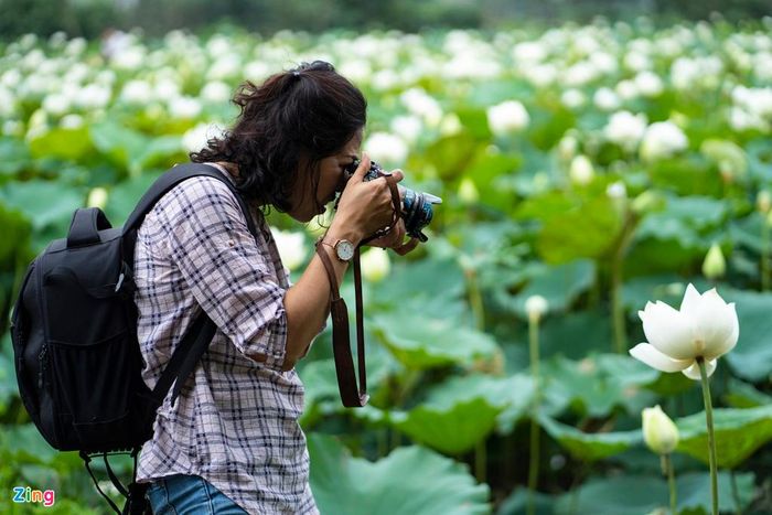  Chị Hà (Ba Đình) chia sẻ: “Mình xuất phát từ nhà lúc 6h, đi sáng sớm nên vắng vẻ, việc di chuyển không quá khó khăn. Đến đây, mình cảm giác nhẹ nhàng, thư thái vì vẻ đẹp của sen trắng bao phủ toàn không gian ở đây, mang lại cho mình cảm xúc để sáng tác". 