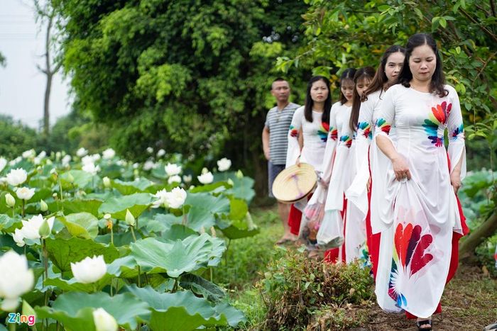  Nói về việc kinh doanh, anh Thọ cho biết: “Ban đầu gia đình chỉ trồng một ít xung quanh ao nuôi cá nhưng nuôi cá không thu được nhiều nên quyết định trồng hết sen. Sen chủ yếu là bán cho người dân xung quanh ngày lễ lạt đi chùa hoặc thắp hương. Sau này có người đi qua thấy đẹp, chụp ảnh chia sẻ lên mạng xã hội nên mọi người biết tới đến tham quan, chụp ảnh”. 