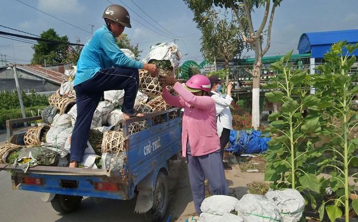 Đưa hoa kiểng đi bán