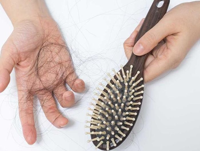  Trung bình mỗi ngày, bạn sẽ mất từ 25 - 100 sợi tóc. Tuy nhiên, nếu số sợi tóc rụng mỗi ngày lớn hơn, bạn cần xem xét lại cơ thể và những thói quen sinh hoạt của bản thân 