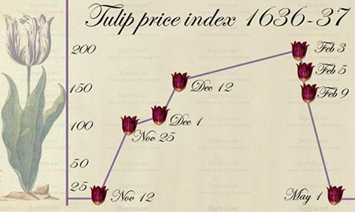 Mô tả giá của hoa tulip trong cơn sốt những năm 1600. 