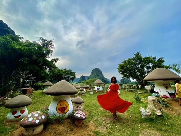 Vườn nấm cổ tích. (Ảnh: CTV/Vietnam+)