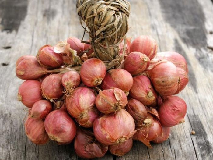 Củ hẹ: Hẹ rất giàu chất chống oxy hóa, có đặc tính chống vi khuẩn, kháng viêm và ngăn ngừa dị ứng. Vì vậy, củ hẹ là thực phẩm nên sử dụng vào mùa hè.