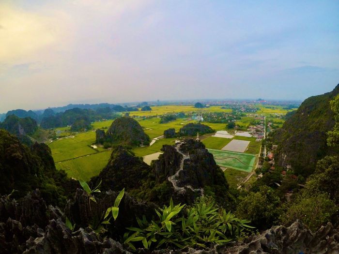 Bên cạnh những ruộng bậc thang ở các tỉnh trung du miền núi phía Bắc thì những cánh đồng lúa vùng Tam Cốc là một trong những địa điểm được mệnh danh checkin lúa chín đẹp nhất Việt Nam.