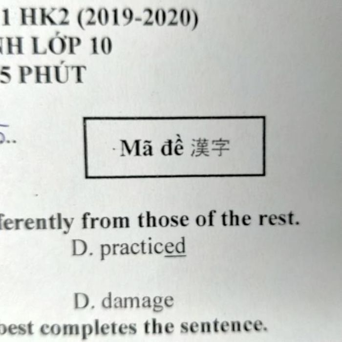 (Ảnh: Ngọc Trân)