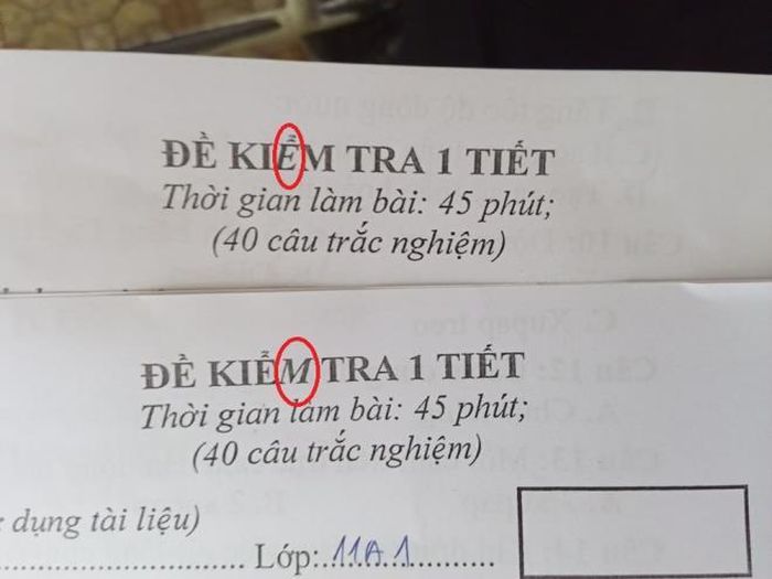 Chỉ có thầy cô mới nghĩ ra mã đề thi này, khác nhau ở chữ in nghiêng giữa "E" và "M". (Ảnh: Sáng Nguyễn)