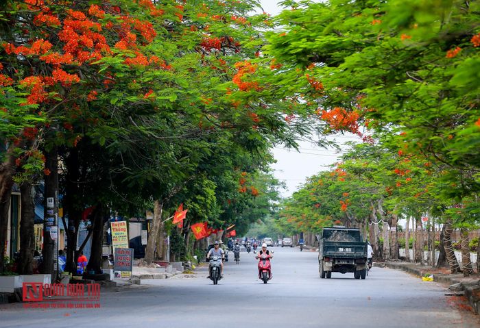 Không gian ngập tràn sắc đỏ hai bên đường Trần Nhân Tông.