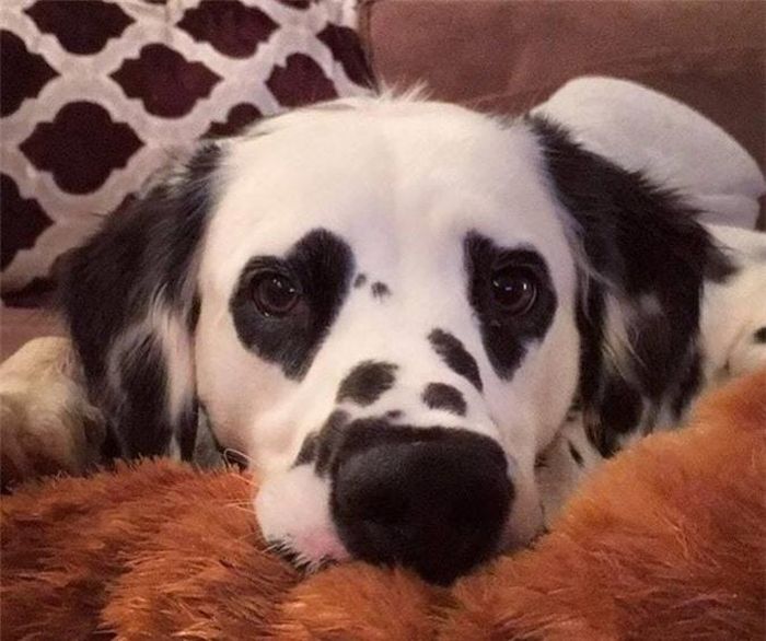  Khi đôi mắt của bạn tỏa ra tình yêu./. 