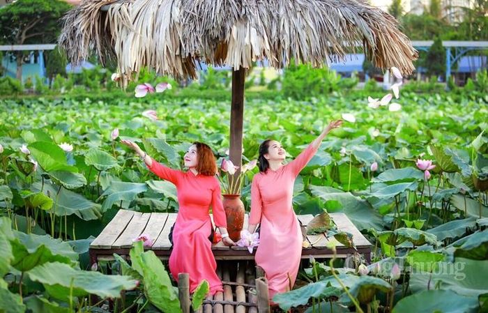 Tương tác với sen cùng đạo cụ