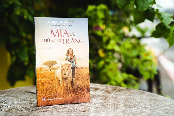 Tác phẩm Mia và chú sư tử trắng. Ảnh: NXB Kim Đồng.