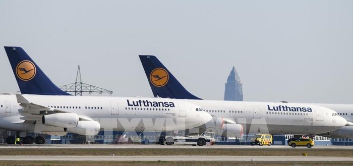 Máy bay của Hãng hàng không Lufthansa tại sân bay Frankfurt, Đức, ngày 23/3/2020. Ảnh: AFP/TTXVN
