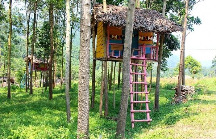 Cụm “nhà trên cây” của người Cơ Tu