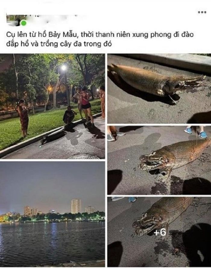 Hình ảnh cùng thông tin về con cá được đăng tải lên mạng xã hội khiến nhiều người tỏ ra lo sợ và hoang mang.