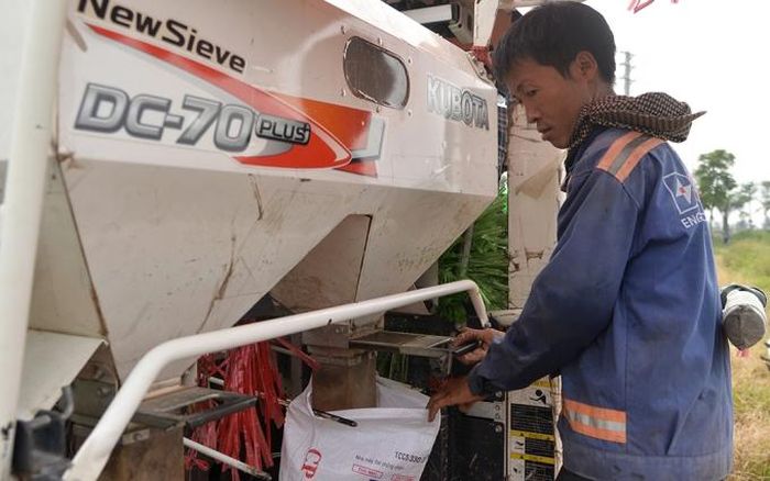 Hiện nay, nhiều loại máy móc nông nghiệp được bà con nông dân sử dụng trong thu hoạch giúp giảm bớt sự vất vả. Chi phí thuê máy gặt đập liên hợp từ 130.000 đến 160.000 đồng/sào