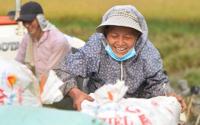 Niềm vui của người nông dân sau một vụ lúa bội thu.