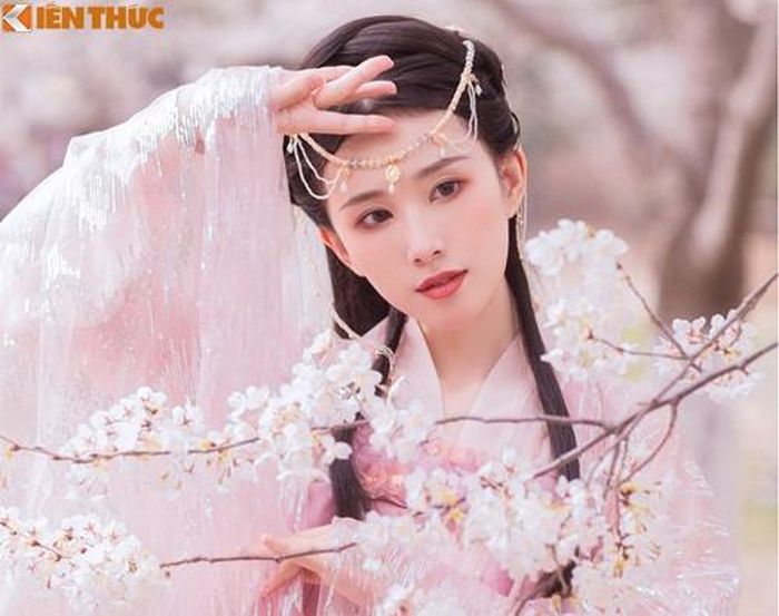 Với thủ đoạn tàn ác này, Hán Thành Đế ngay cả đến lúc chết cũng không có con trai nối dõi.