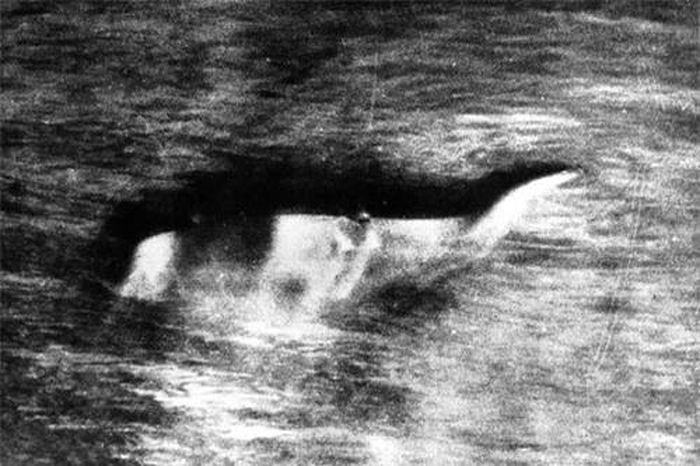 Hình ảnh được cho là quái vật hồ Loch Ness trước đó