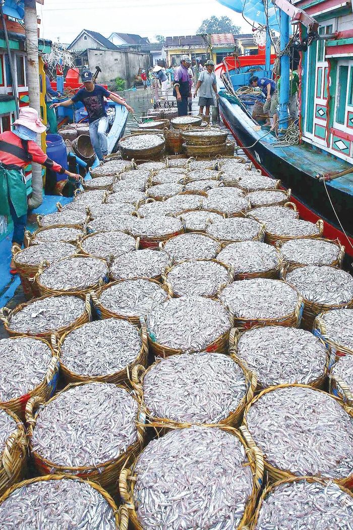 Những sọt cá cơm ở Cảng Cửa Việt (Quảng Trị) đến tay tiểu thương