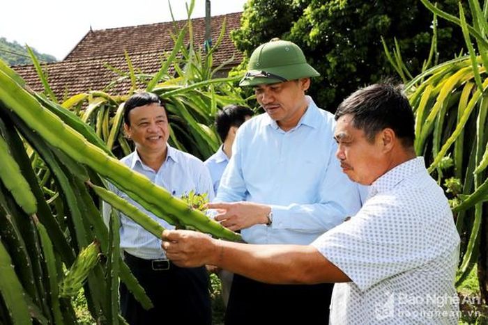 Phó Chủ tịch UBND tỉnh Hoàng Nghĩa Hiếu đã đến thăm mô hình trồng thanh long ruột đỏ của gia đình ông Tống Văn Chiến tại bản Bãi Sở, xã Tam Quang. Ảnh: Phạm Bằng