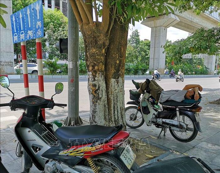 Bóng mát từ cây xanh được người lao động tận dụng tranh thủ nghỉ trưa.