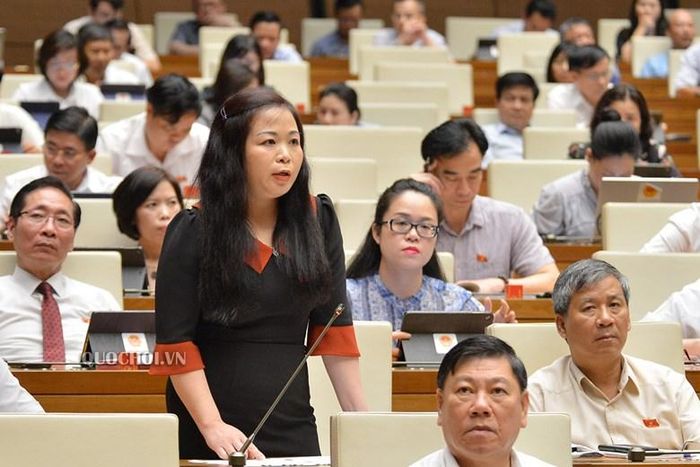 Đại biểu Vũ Thị Lưu Mai (Hà Nội) phát biểu tại phiên họp