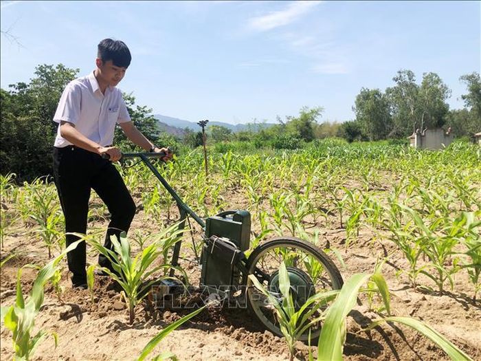 Em Lê Tuấn Kiệt với máy cày làm cỏ, bón phân.