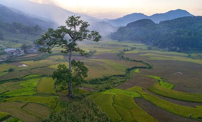 Hoàng hôn trên cánh đồng Hợp Thành tạo lên khung cảnh đầy màu sắc.