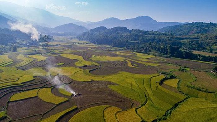 Ruộng bậc thang qua góc nhìn Flycam.