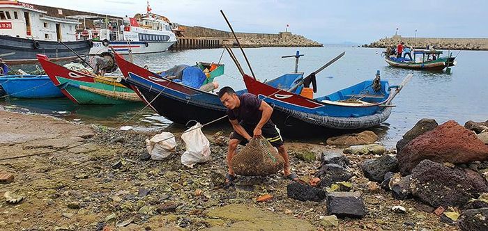Anh Lê Văn Tuấn vận chuyển sản phẩm sau một ngày lặn biển lên bờ. Ảnh: L.A