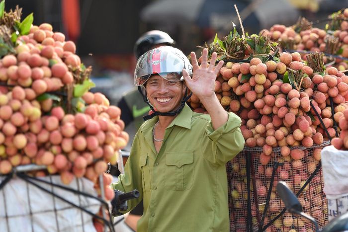 Ngay từ đầu niên vụ vải 2020, Bộ Công Thương đã phối hợp với UBND tỉnh Bắc Giang xây dựng, triển khai các kịch bản, giải pháp để xúc tiến tiêu thụ quả vải, nâng tầm giá trị quả vải của thiều Việt Nam trên thị trường thế giới