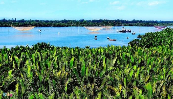 Khung cảnh xanh mướt, yên bình ở rừng dừa Bảy Mẫu. Ảnh: Minh Hoàng.
