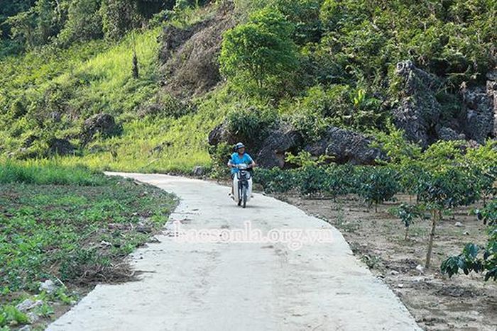 Đường vào khu sản xuất của bản Nậm Giắt được đổ bê-tông từ đóng góp của nhân dân.