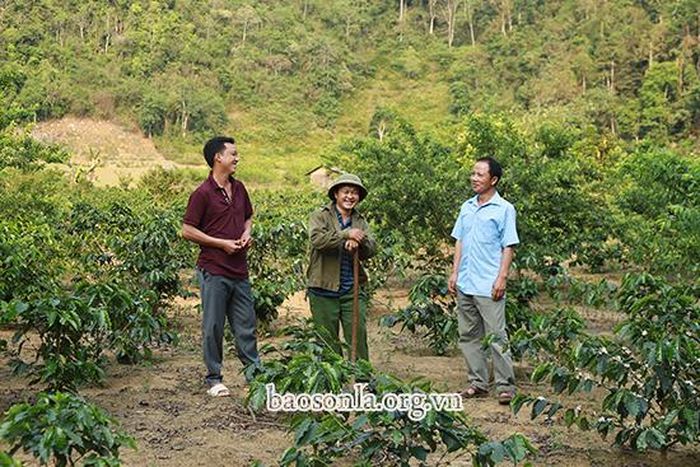 Anh Sồng A Sai, Bí thư Chi bộ bản Nậm Giắt (ngoài cùng bên phải)