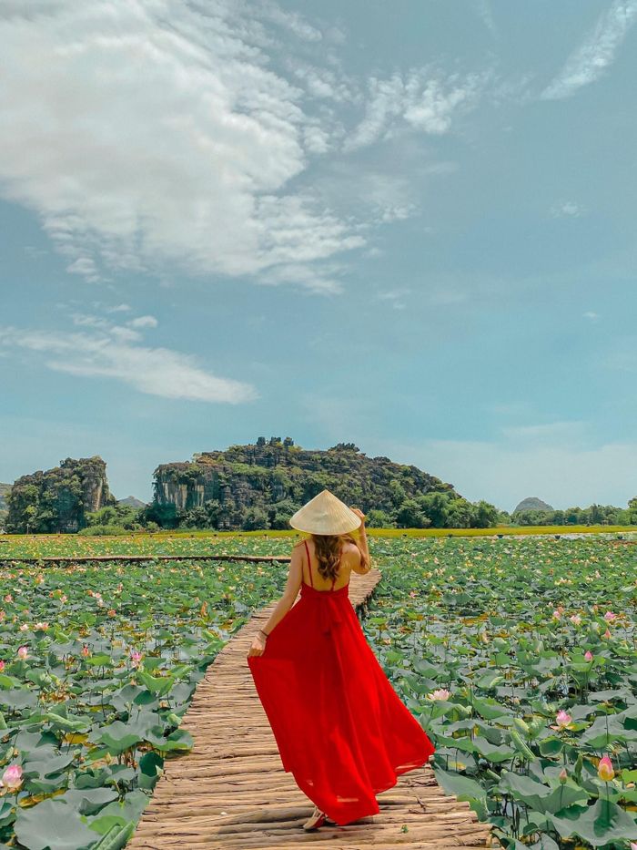 Từ hồ sen, đỉnh núi Múa, vườn nấm hay vườn xương rồng khổng lồ... giới trẻ vẫn chưa hết phát sốt với "Vạn lý trường thành phiên bản Việt".