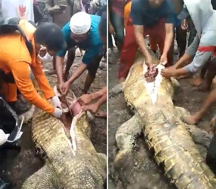Khi mổ bụng con cá sấu ra, người dân tìm thấy những mảnh thi thể còn lại của chị Fatimah.