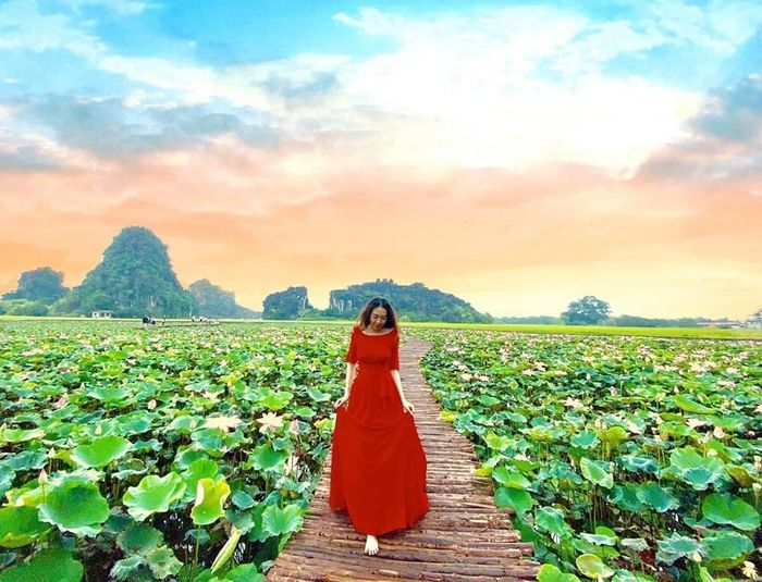 Hồ sen Hang Múa đẹp như chốn thần tiên