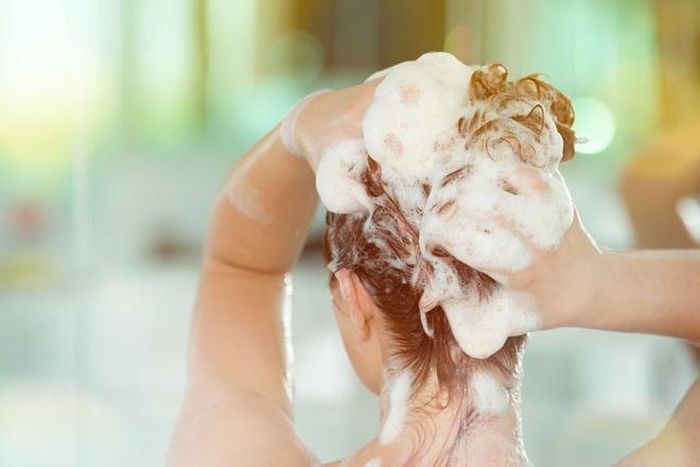  Các tín đồ nên lựa chọn dầu gội dành cho tóc nhuộm. 